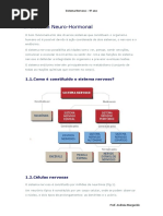 sistema nervoso apontamentos