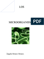 Microorganismos