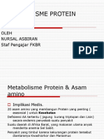 Metab Protein 1