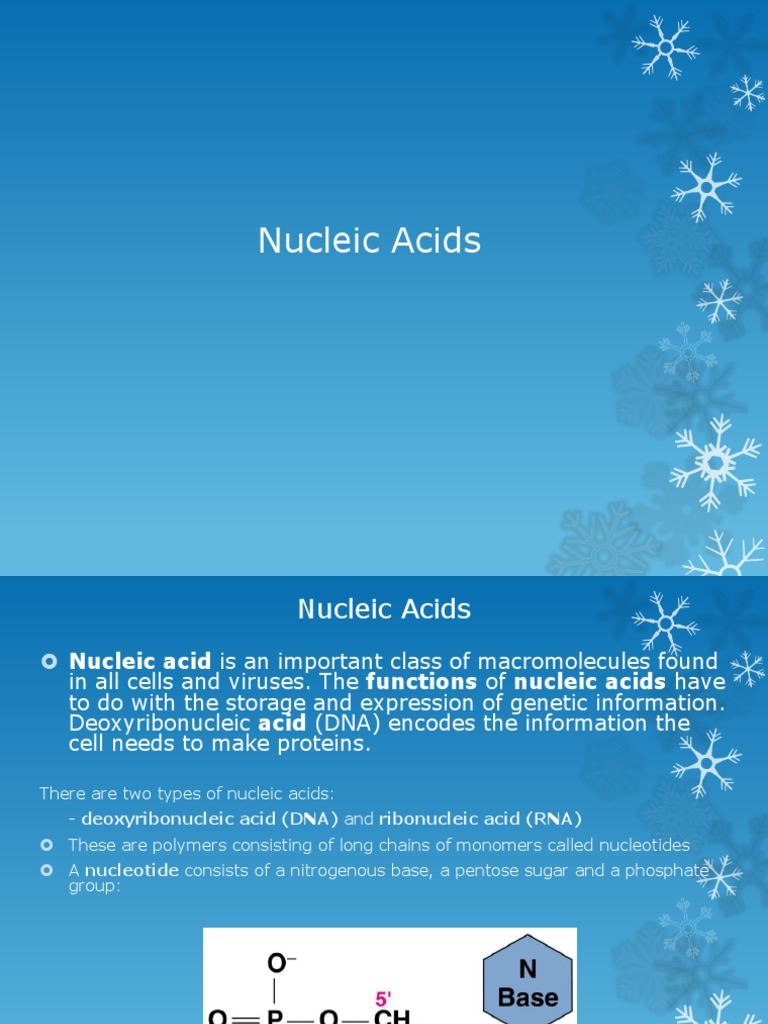 Nucleic Acids | PDF | Nucleic Acids | Rna