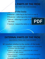 External Parts of The Frog