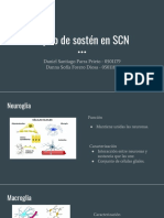 Seminario Histología Tejido Nervioso.