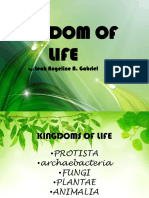 Kingdom of Life