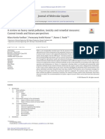 A Review On Heavy Metal Pollution, Toxicity and Remedial Measures - Current Trends and Future Perspectives