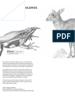 animales.pdf