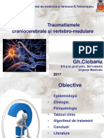 Traume Craniocerebrale - New