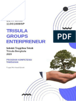 TRISULA GROUPS ENTREPRENEUR (TIGER) 1 (BESI,PERAK,EMAS) 1