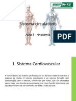 Aula 5 - Sistema Cardiovascular (G)