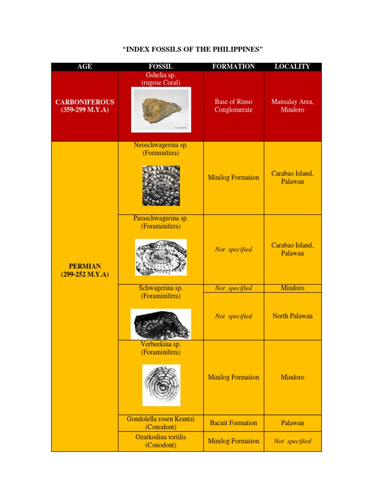 Index Fossils of The Philippines (Edited) PDF Geology Earth Sciences