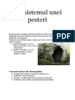 Document Fără Titlu