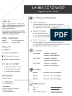 Curriculum Moderno Rellenar Ecuador