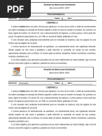 Crónica.pdf