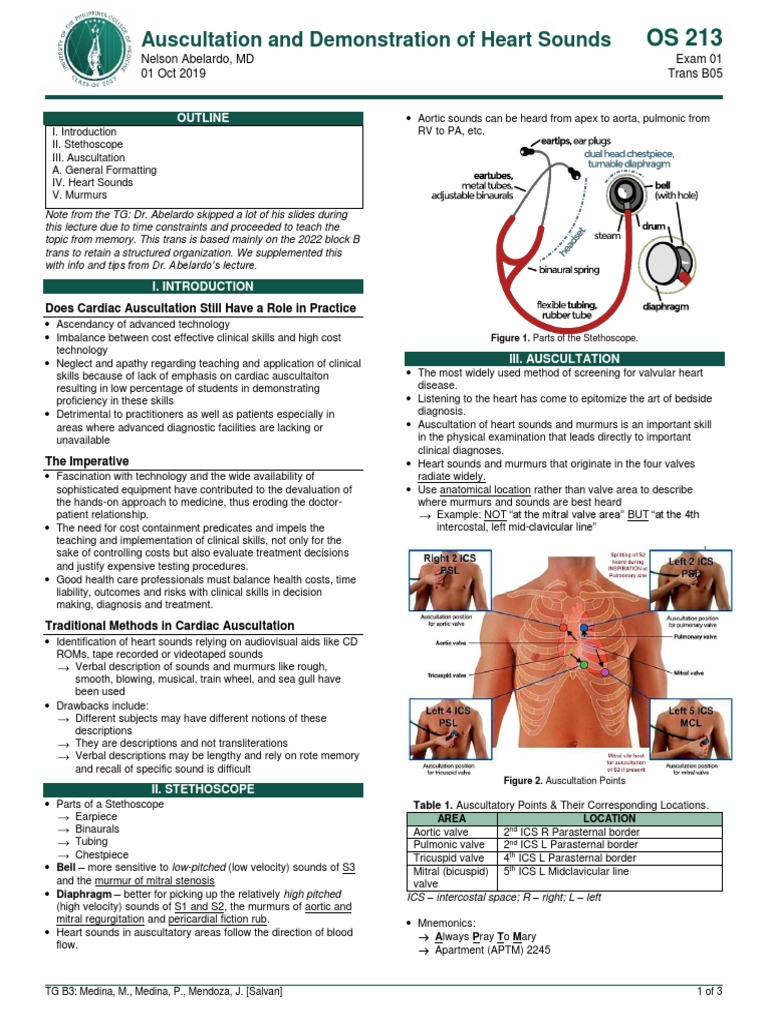 Heart Sounds and Auscultation Techniques | PDF | Circulatory System ...