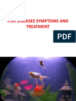 75..fish Diseases Symptoms