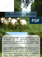 Presentacion 1 Ganaderia Sostenible