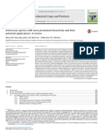 Asteraceae species with most prominent bioactivity and their potential applications