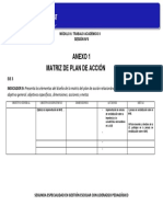 Anexo 1 - Matriz de Plan de Acción