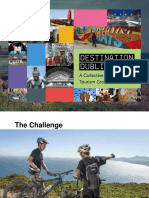 Destination Dublin Report Presentation - FINAL