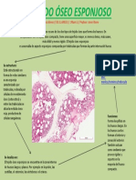 Infografía 1 Víctor