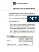 Proceso CAS1292018 Fiscalizador Lambayeque