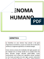 Clase #5 Genoma Humano