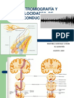 Electromiografia y Velocidades