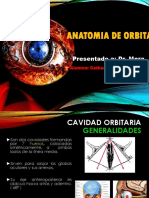 Anatomia de Orbita