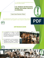 Copia de Presentacion Juan Jose Romero Meza Ovinos Congreso de Tunja