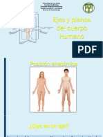 Tema 1. Ejes y Planos Anatomicos