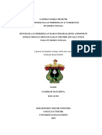Laporan KP Namirah Maulidina D221 16 501 PDF
