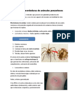 Picaduras y Mordeduras de Animales Ponzoñosos