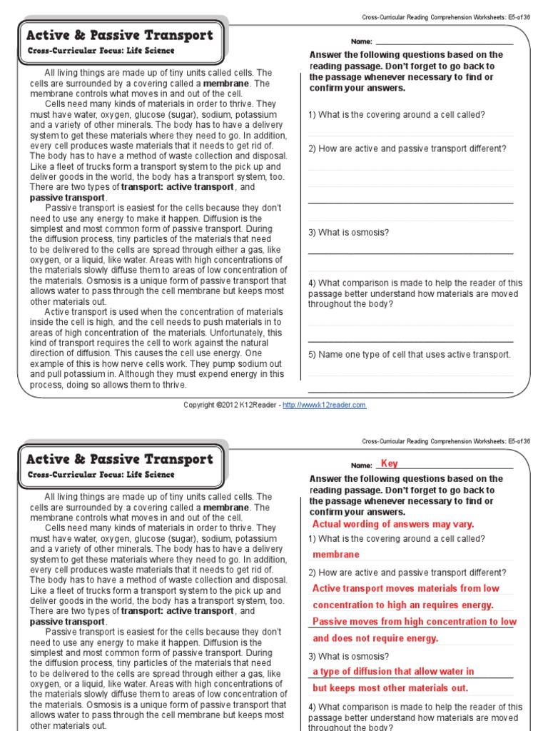 Gr22 Wk22 Active Passive Transport  PDF  Osmosis  Cell Membrane Within Passive Transport Worksheet Answers