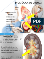 Pielonefritis FINAL