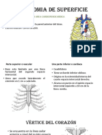 Anatomia de Superficie