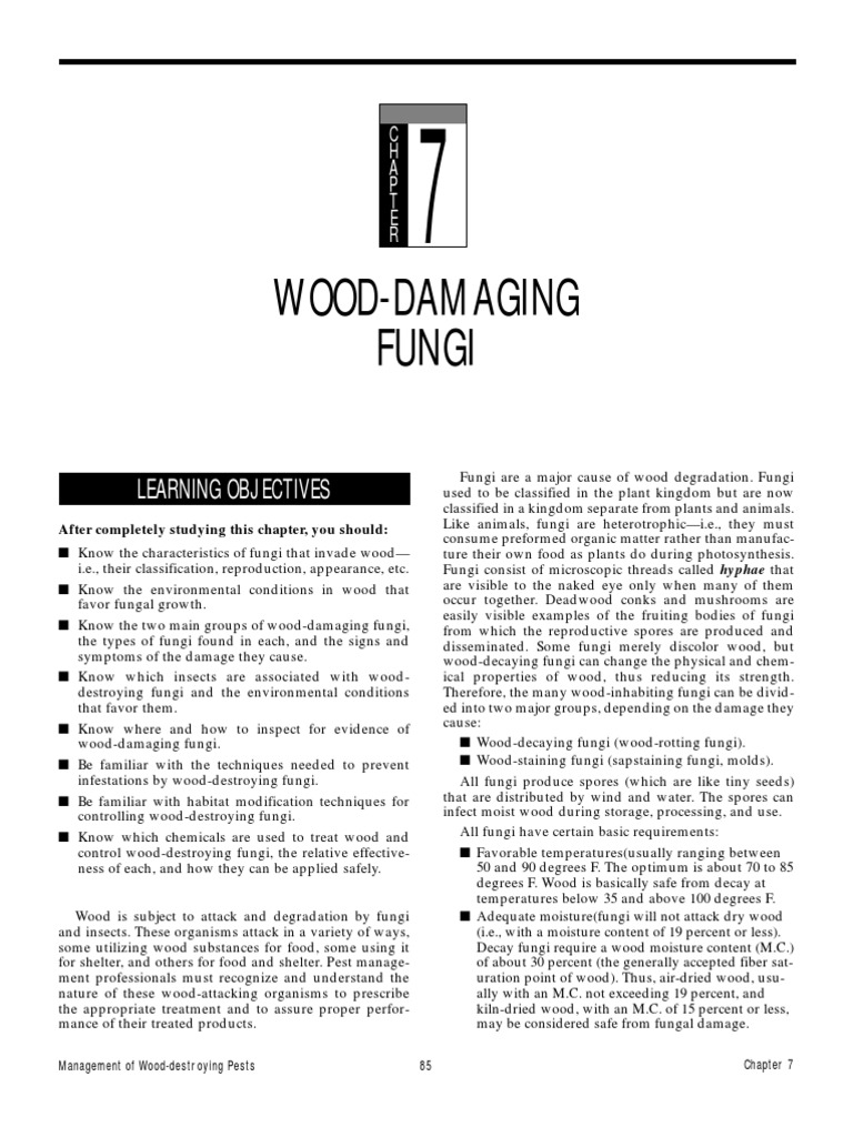 Wood-Damaging Fungi: Learning Objectives | PDF