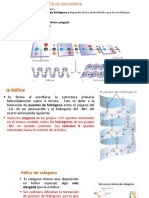 Proteinas Sec Ter y Cuaternaria Funciones