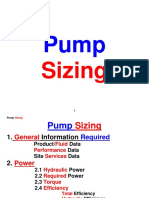 97822965-Pump-Sizing.pdf