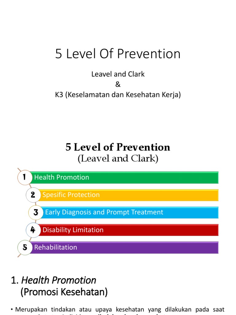 5 Level of Prevention PDF