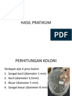 HASIL PRATIKUM Mikrobio