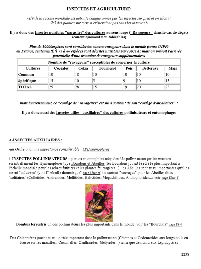 Attrape Mouche Papier Tue Mouche l'intérieur à l'extérieur Utilisez Les  Mouches, Les moustiques et Autres Insectes Volants(40 Roule