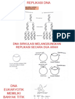 Biokim 2