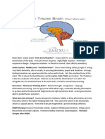 3 Levels of the Brain (EMDR).docx