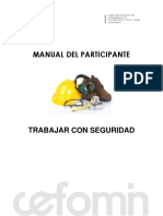 Manual Modulo Trabajar Con Seguridad PDF