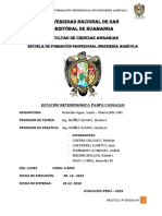 INFORme 5 y 6 de raspa.docx