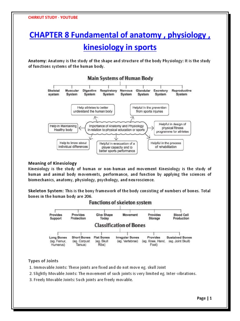 Anatomy and Physiology in Sports | PDF | Circulatory System | Heart