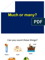 Much or Many PPT 1