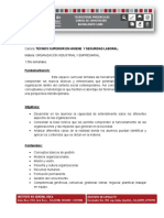 PROGRAMA ORGANIZACION.pdf