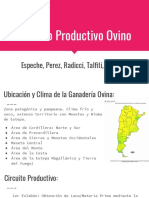 Circuito Productivo Ovino