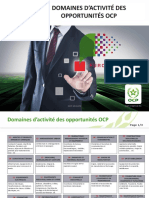 Domaines D - Activité Des Opportunités OCP
