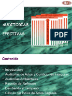 Presentación - Auditorias Efectivas